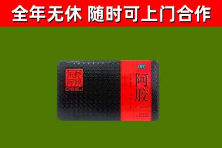 榆树回收阿胶